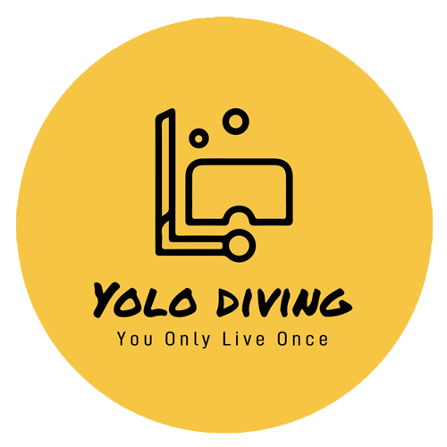 Yolo Diving | TRUDIVE Stretchy Open Back Bikini 2mm - Yolo Diving